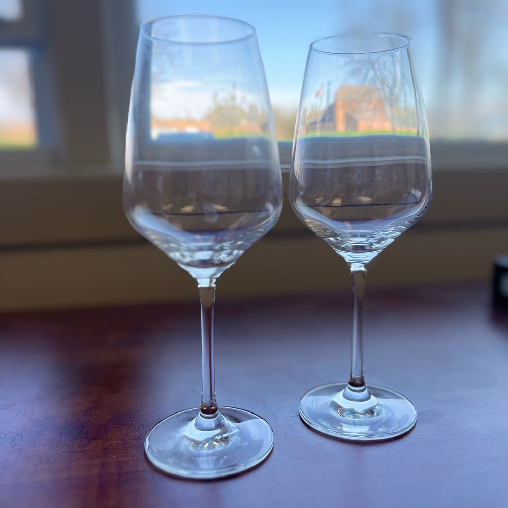 Schott Zwiesel Tour Wine Glass